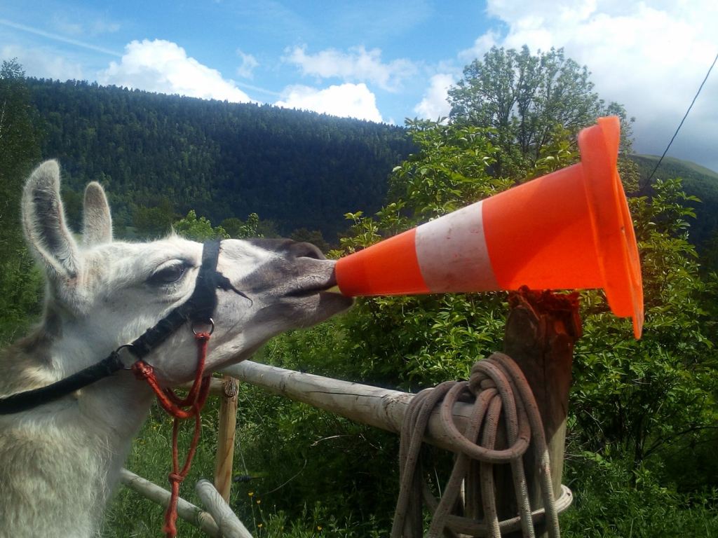 VOIX EN EXPANSION : Francis HALLE